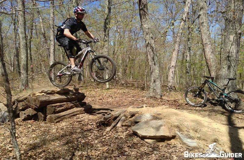 beginner mtb jumps