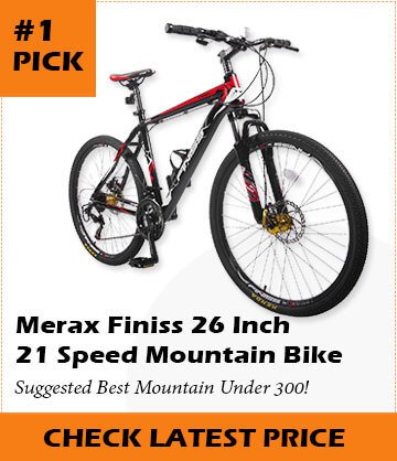 Best Mountain Bikes Under 300 Dollars
