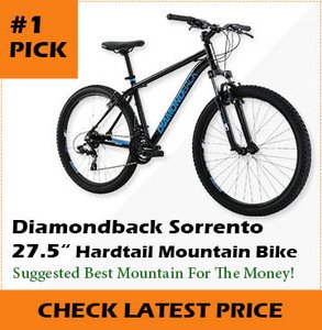 best mtb value for money