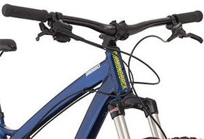 diamondback line 2019 review